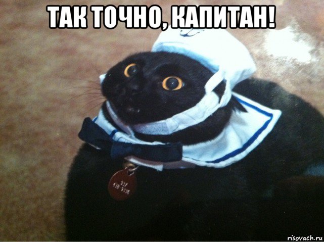 так точно, капитан! 