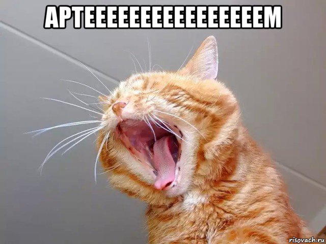 артеееееееееееееееем 