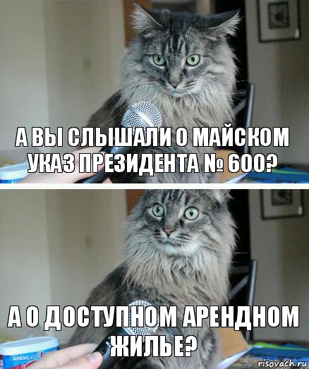 А вы слышали о майском указ президента № 600? А о доступном арендном жилье?, Комикс  кот с микрофоном