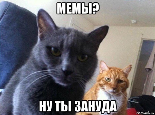 мемы? ну ты зануда