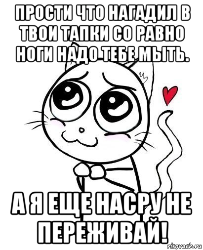 прости что нагадил в твои тапки со равно ноги надо тебе мыть. а я еще насру не переживай!, Мем  Котейка-няша