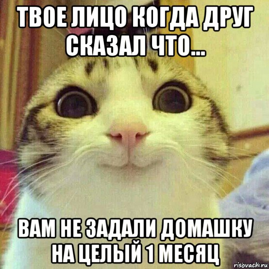 твое лицо когда друг сказал что... вам не задали домашку на целый 1 месяц, Мем       Котяка-улыбака