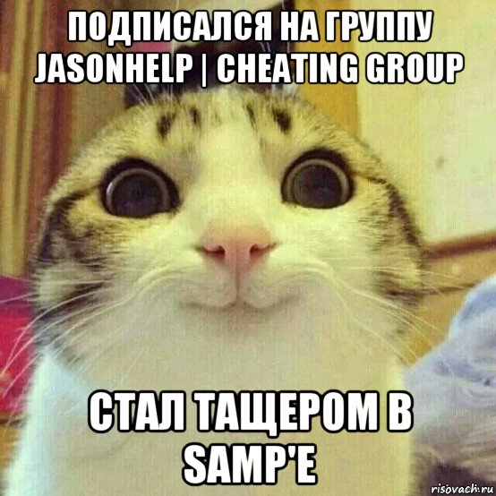 подписался на группу jasonhelp | cheating group стал тащером в samp'e, Мем       Котяка-улыбака