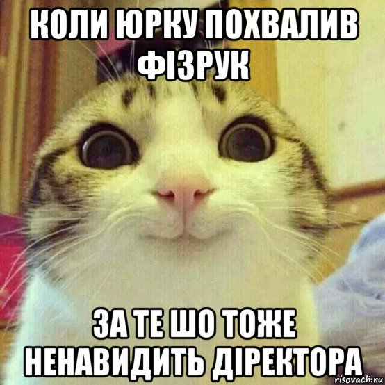 коли юрку похвалив фізрук за те шо тоже ненавидить діректора, Мем       Котяка-улыбака