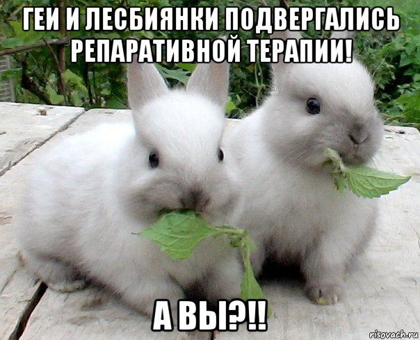 геи и лесбиянки подвергались репаративной терапии! а вы?!!
