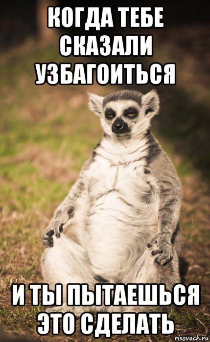 когда тебе сказали узбагоиться и ты пытаешься это сделать