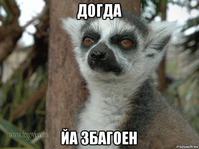 догда йа збагоен
