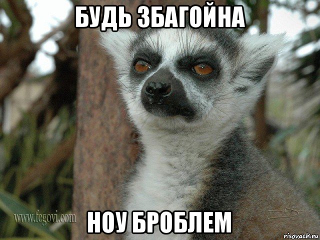 будь збагойна ноу броблем