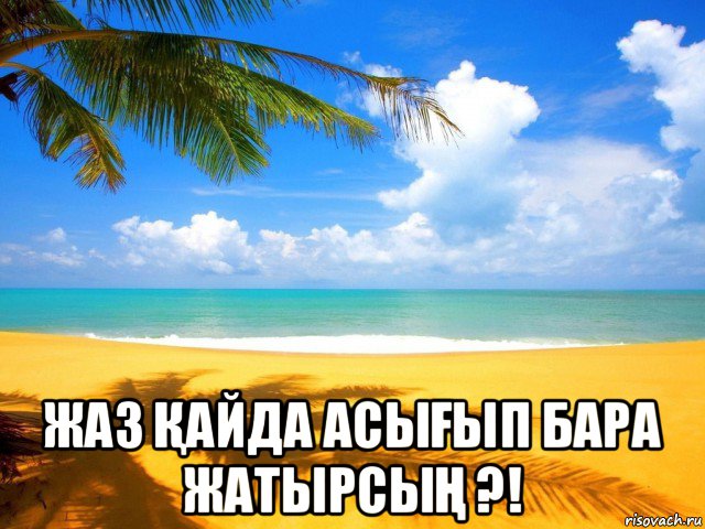  жаз Қайда асыҒып бара жатырсыҢ ?!