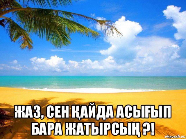  жаз, сен Қайда асыҒып бара жатырсыҢ ?!