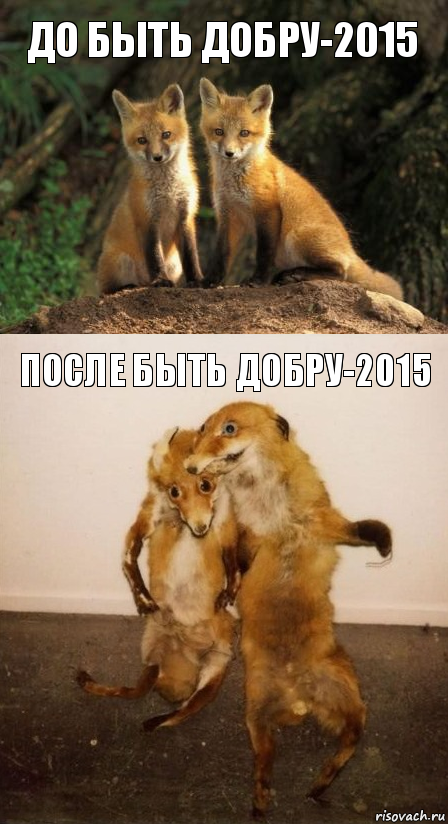 До быть добру-2015 после быть добру-2015, Комикс Лисицы