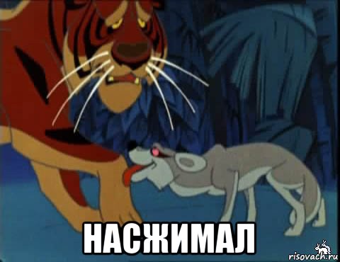  насжимал, Мем ЛИЗАБЛЮД