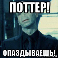 поттер! опаздываешь!, Мем Lord Voldemort