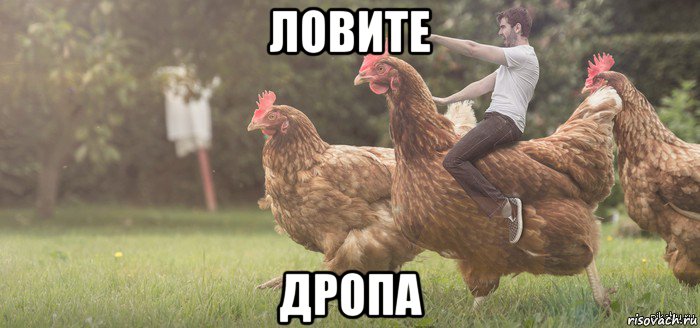 ловите дропа