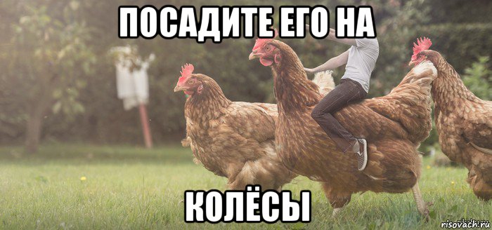 посадите его на колёсы