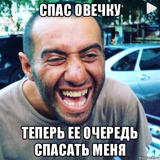 спас овечку теперь ее очередь спасать меня