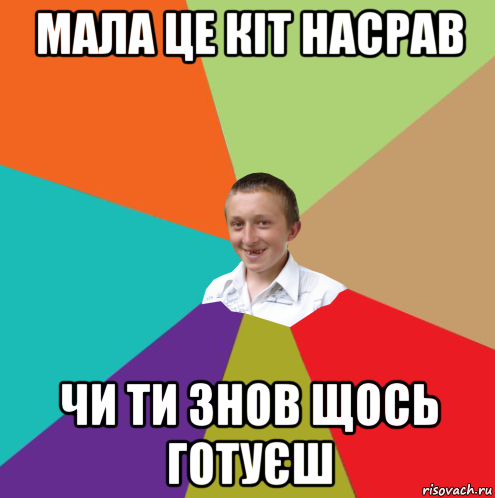 мала це кіт насрав чи ти знов щось готуєш, Мем  малый паца