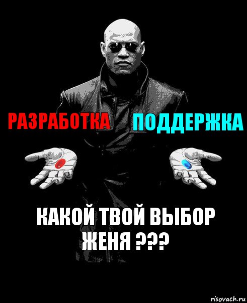 Разработка Поддержка Какой твой выбор женя ???