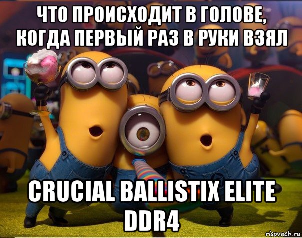 что происходит в голове, когда первый раз в руки взял crucial ballistix elite ddr4, Мем   миньоны