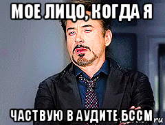 мое лицо, когда я частвую в аудите бссм