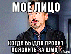 мое лицо когда быдло просит пояснить за шмот