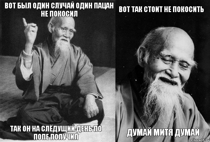 вот был один случай один пацан не покосил так он на слёдущий день по попе получил вот так стоит не покосить думай митя думай, Комикс Мудрец-монах (4 зоны)