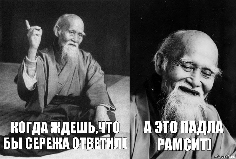 КОГДА ЖДЕШЬ,ЧТО БЫ СЕРЕЖА ОТВЕТИЛ( А ЭТО ПАДЛА РАМСИТ), Комикс Мудрец-монах (2 зоны)