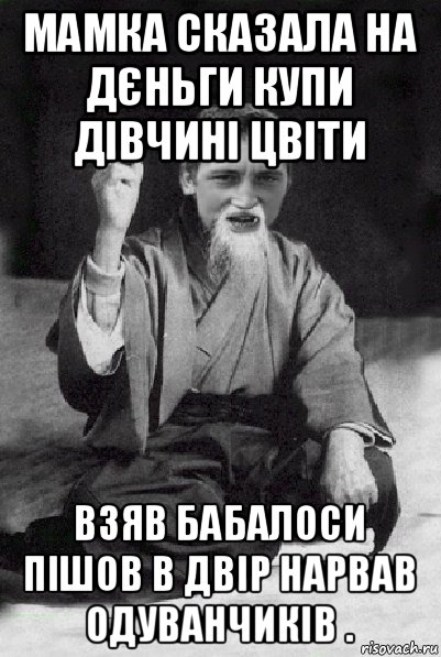 мамка сказала на дєньги купи дівчині цвіти взяв бабалоси пішов в двір нарвав одуванчиків ., Мем Мудрий паца