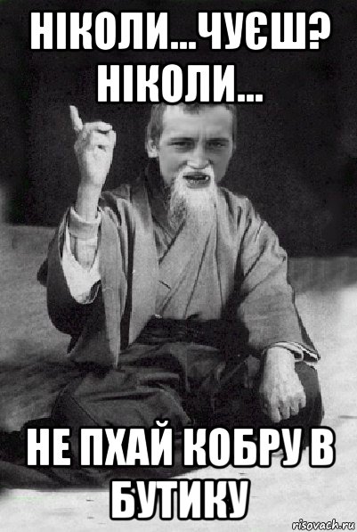 ніколи...чуєш? ніколи... не пхай кобру в бутику, Мем Мудрий паца