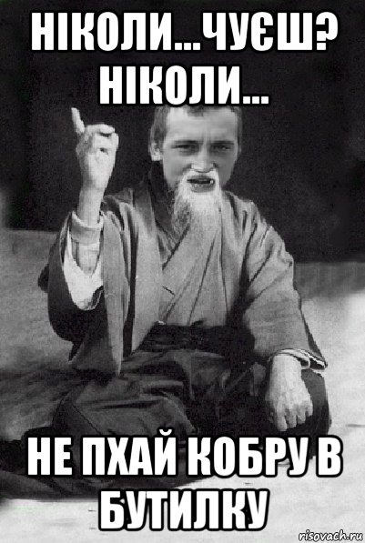 ніколи...чуєш? ніколи... не пхай кобру в бутилку, Мем Мудрий паца