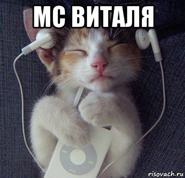 мс виталя 