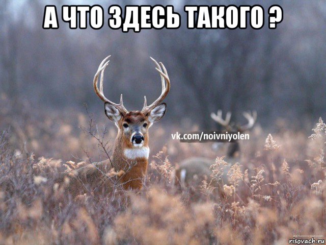 а что здесь такого ? 