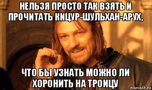 нельзя просто так взять и прочитать кицур-шульхан-арух, что бы узнать можно ли хоронить на троицу, Мем Нельзя просто так взять и (Боромир мем)