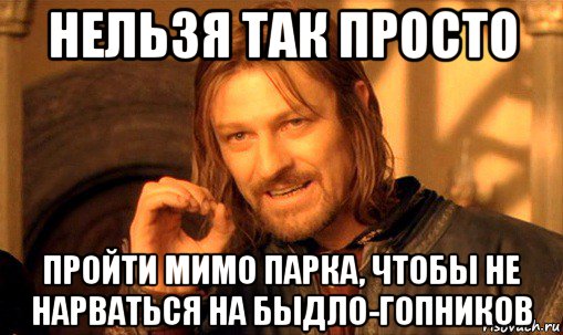 нельзя так просто пройти мимо парка, чтобы не нарваться на быдло-гопников, Мем Нельзя просто так взять и (Боромир мем)