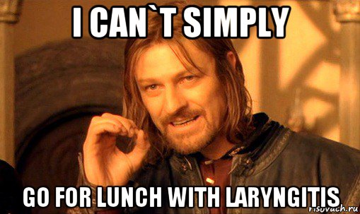 i can`t simply go for lunch with laryngitis, Мем Нельзя просто так взять и (Боромир мем)
