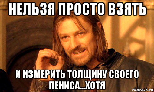 нельзя просто взять и измерить толщину своего пениса...хотя, Мем Нельзя просто так взять и (Боромир мем)