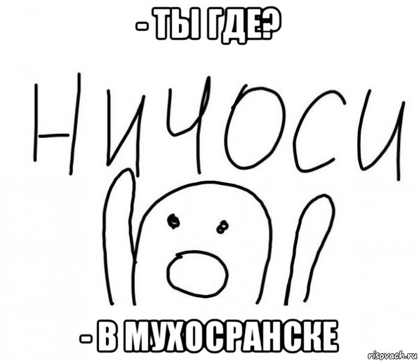 - ты где? - в мухосранске, Мем  Ничоси