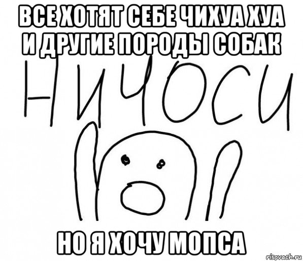 все хотят себе чихуа хуа и другие породы собак но я хочу мопса, Мем  Ничоси