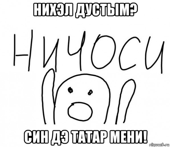 нихэл дустым? син дэ татар мени!, Мем  Ничоси