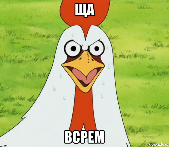ща всрем