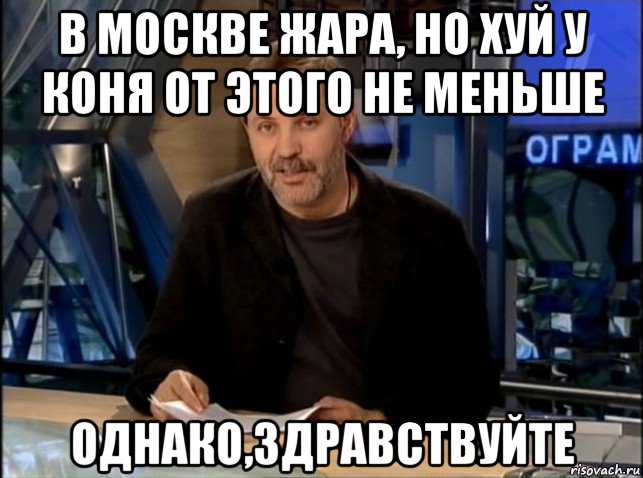 в москве жара, но хуй у коня от этого не меньше однако,здравствуйте, Мем Однако Здравствуйте