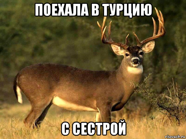 поехала в турцию с сестрой