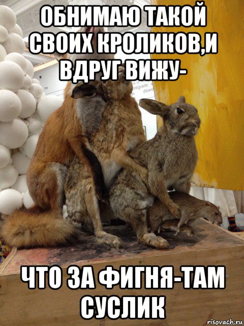 обнимаю такой своих кроликов,и вдруг вижу- что за фигня-там суслик, Мем Ололош