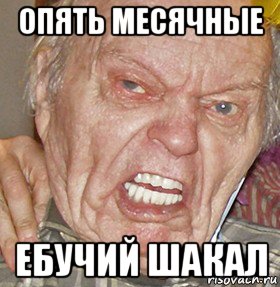 опять месячные ебучий шакал, Мем опять начинаешь ибучий шакал