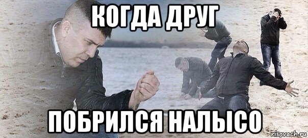 когда друг побрился налысо