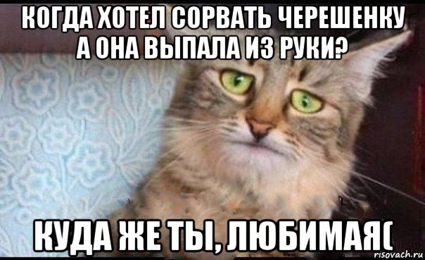 когда хотел сорвать черешенку а она выпала из руки? куда же ты, любимая(
