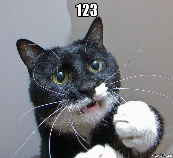 123 