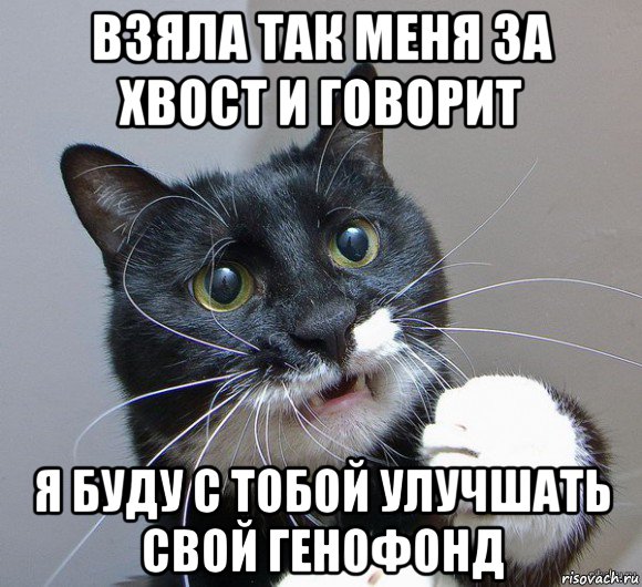 взяла так меня за хвост и говорит я буду с тобой улучшать свой генофонд