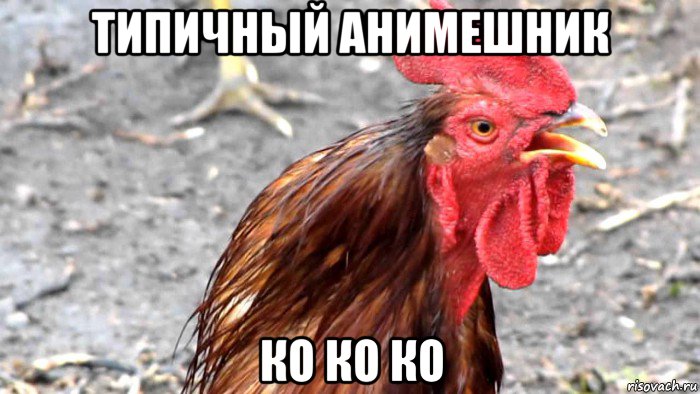типичный анимешник ко ко ко
