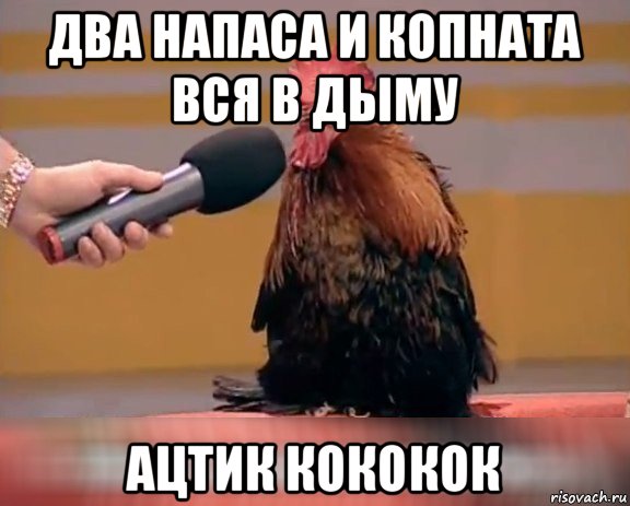 два напаса и копната вся в дыму ацтик кококок